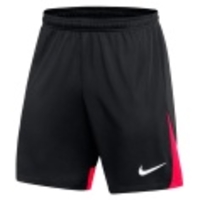 Dri-FIT Academy Pro Shorts