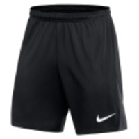 Dri-FIT Academy Pro Shorts