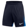 Dri-FIT Academy Pro Shorts