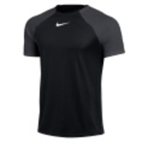 Dri-FIT Academy Pro SS Tee