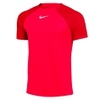 Dri-FIT Academy Pro SS Tee