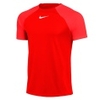 Dri-FIT Academy Pro SS Tee