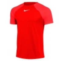 Dri-FIT Academy Pro SS Tee