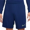 Dry Academy 21 Shorts