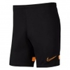 Dry Academy 21 Shorts