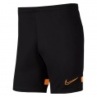 Dry Academy 21 Shorts