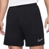 Dry Academy 21 Shorts