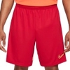 Dry Academy 21 Shorts