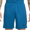 Dry Academy 21 Shorts