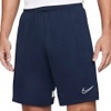 Dry Academy 21 Shorts
