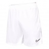 Dry Academy 21 Shorts
