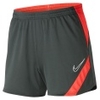 Dry Academy Knit Shorts Women