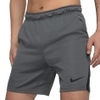 Dry Training 5.0 Shorts