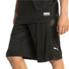 Energy Knit-Mesh 11 Inch Short