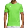 Entrada 18 Jersey