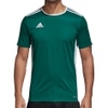 Entrada 18 Jersey