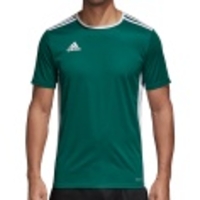 Entrada 18 Jersey