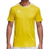Entrada 18 Jersey