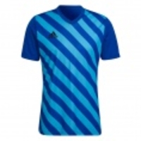 Entrada 22 Graphic Jersey