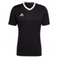Entrada 22 Jersey