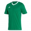 Entrada 22 Jersey