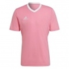Entrada 22 Jersey