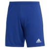 Entrada 22 Shorts