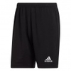 Entrada 22 Shorts