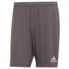 Entrada 22 Shorts
