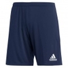 Entrada 22 Shorts