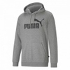 ESS Big Logo Hoodie