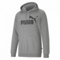 ESS Big Logo Hoodie
