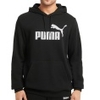 ESS Big Logo Hoodie