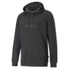 ESS Big Logo Hoodie