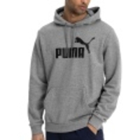 ESS Big Logo Hoody TR