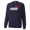 Essentials 2 Color Big Logo Crew