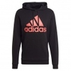 Essentials Big Logo FT Hoodie
