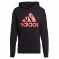 Essentials Big Logo FT Hoodie