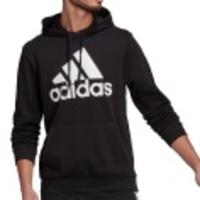 Essentials Big Logo FT Hoodie