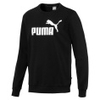Essentials Logo Crew Sweat TR Big Logo
