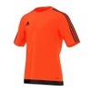 Estro 15 Jersey
