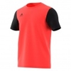 Estro 19 Jersey