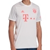 FC Bayern Away Jersey 2020/2021
