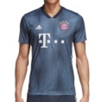 FC Bayern Third Jersey 2018/2019
