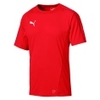 FINAL Training Jersey