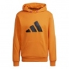 Future Icons Winter Hoodie