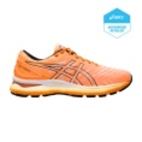 Gel-Nimbus 22