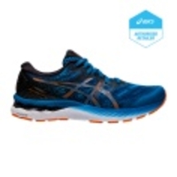 Gel-Nimbus 23