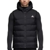 Helionic Down Vest