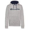 Hooded Logo Fleece Sweatshirt